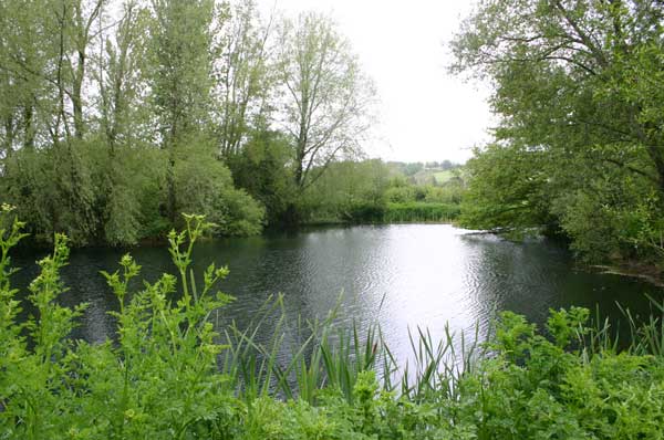 Trout Lakes at Tolpuddle